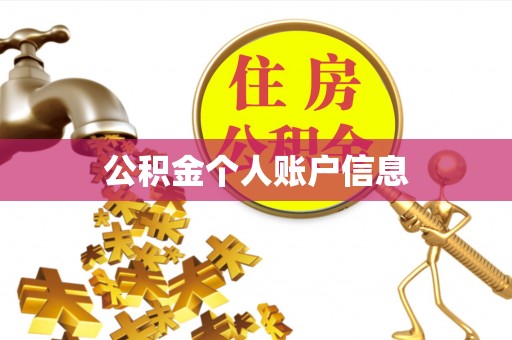 汶上公积金个人账户信息