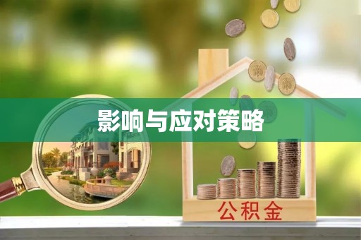 汶上影响与应对策略