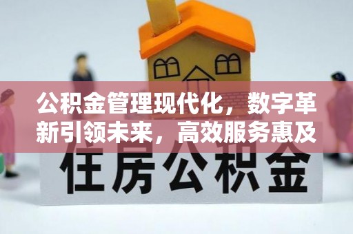 汶上公积金管理现代化，数字革新引领未来，高效服务惠及民生