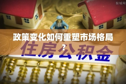 汶上政策变化如何重塑市场格局？
