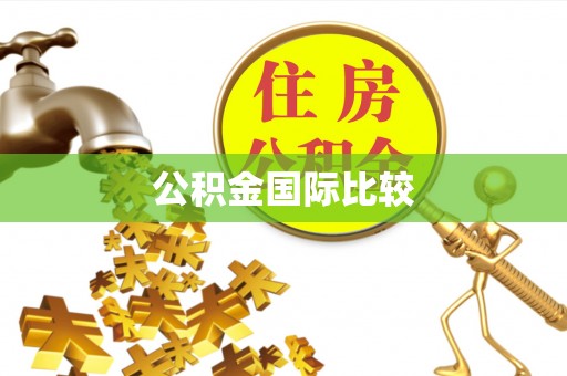 汶上公积金国际比较