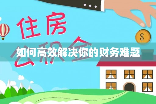 汶上如何高效解决你的财务难题