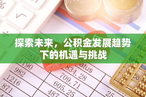 汶上探索未来，公积金发展趋势下的机遇与挑战