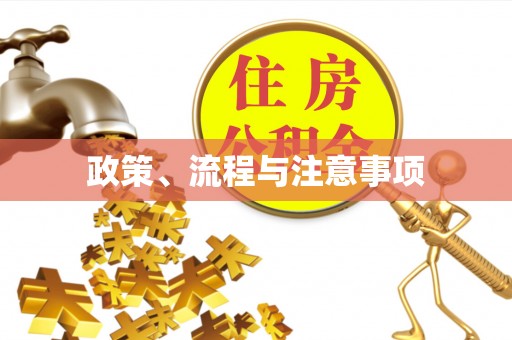 汶上政策、流程与注意事项