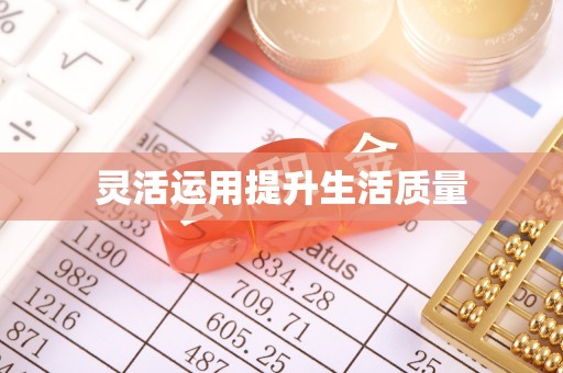 汶上灵活运用提升生活质量