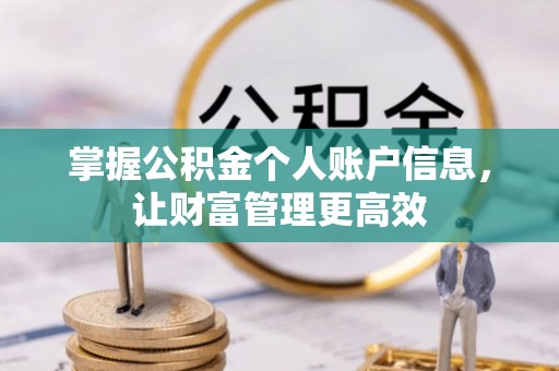 汶上掌握公积金个人账户信息，让财富管理更高效
