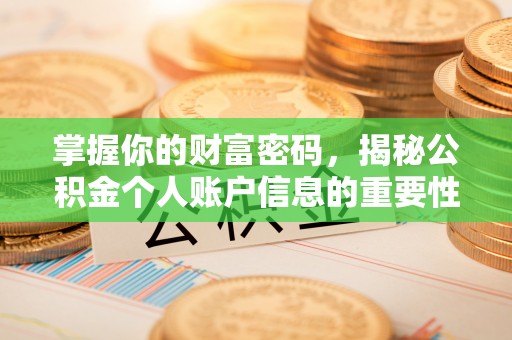 汶上掌握你的财富密码，揭秘公积金个人账户信息的重要性
