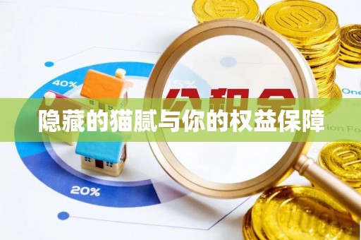 汶上隐藏的猫腻与你的权益保障