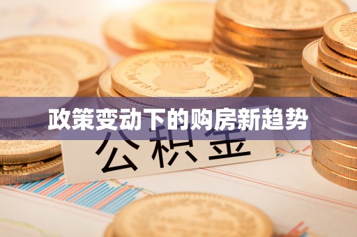 汶上政策变动下的购房新趋势