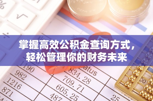 汶上掌握高效公积金查询方式，轻松管理你的财务未来