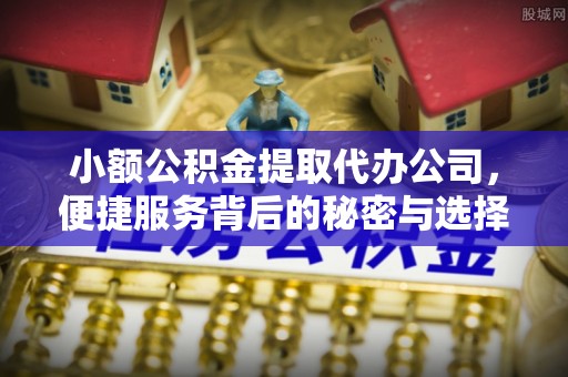 汶上小额公积金提取代办公司，便捷服务背后的秘密与选择指南