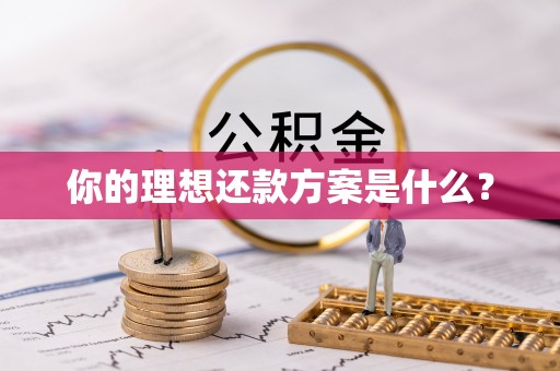 汶上你的理想还款方案是什么？
