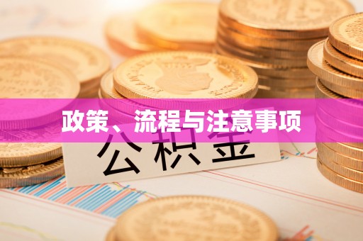 汶上政策、流程与注意事项