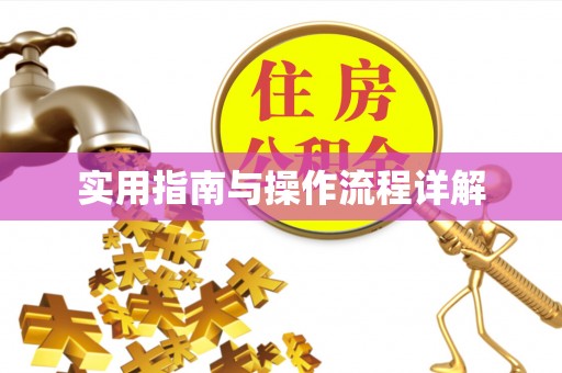 汶上实用指南与操作流程详解