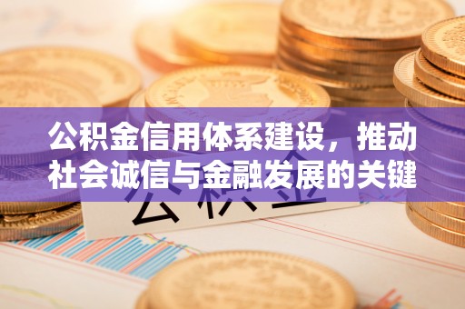 汶上公积金信用体系建设，推动社会诚信与金融发展的关键桥梁