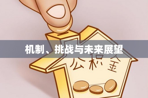 汶上机制、挑战与未来展望