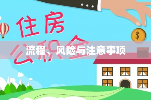 汶上流程、风险与注意事项