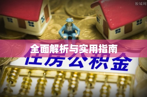 汶上全面解析与实用指南