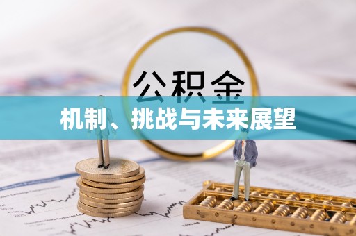 汶上机制、挑战与未来展望